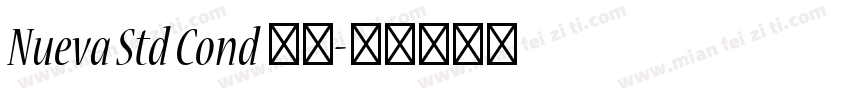 Nueva Std Cond 粗体字体转换